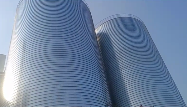 醴陵2座混凝土高架卷板仓